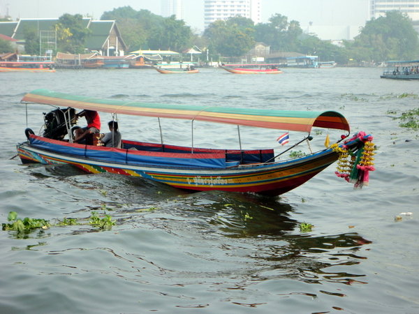 Long tail rooster boat