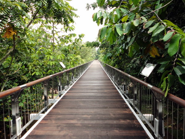 Cable Bridge in Putrajaya Garden