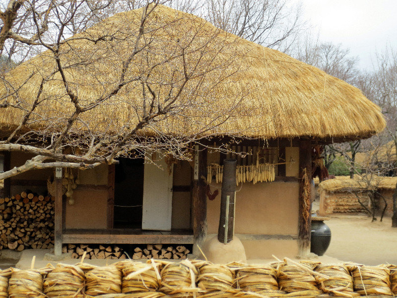 THATCHED ROOF HOUSE