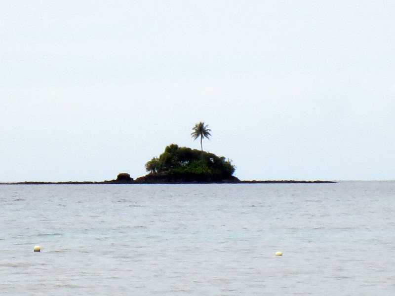 LONE PALM TREE ISLAND.