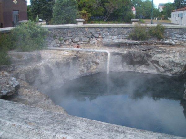 Steam pools at Rotorua