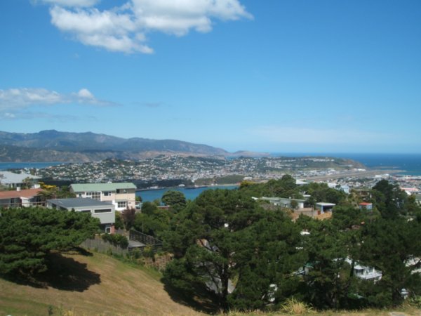 The view from Mount Victoria