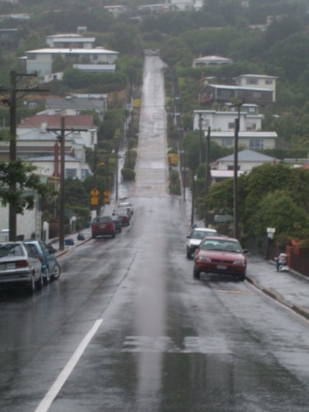 The worlds steepest street (in Dunedin)