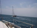 Sailing Vessel Yohela