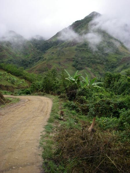 Lush road to Peru