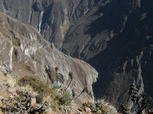 Canyon view