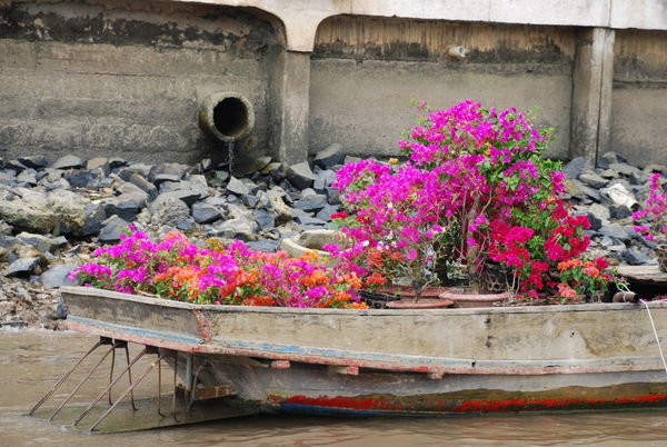 Flowers and sewer