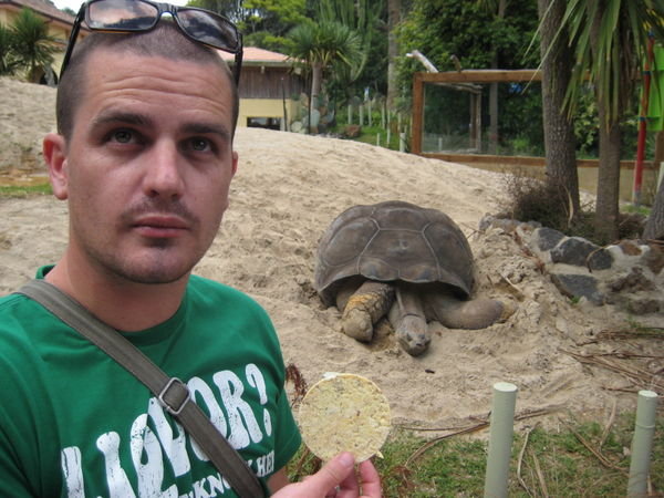 Nathan With a Turtle