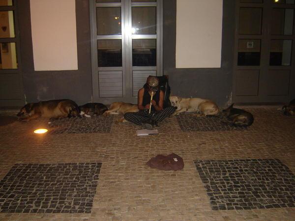 Where Sleeping Dogs Lie...