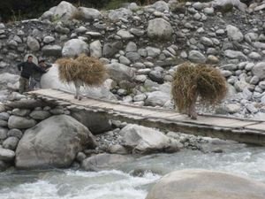Funny sights too, Indian Himalayas