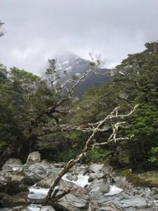 Views on The Routeburn Track, New Zealand
