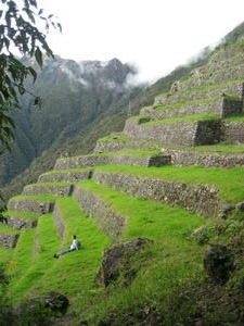 Amazing Terraces, Inca Trail, Peru 