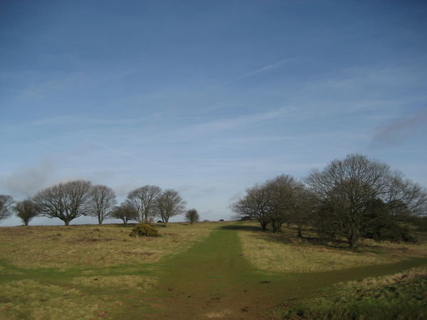 Views across Cissbury Ring, Sussex
