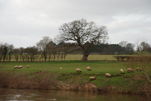 Lovely views across the River Wye. Sellack, Herefordshire