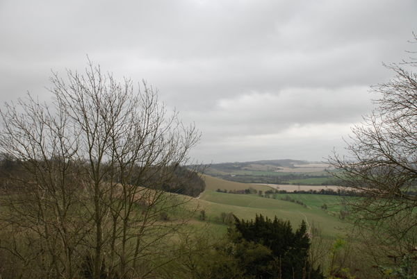 Amazing views from the North Downs Way