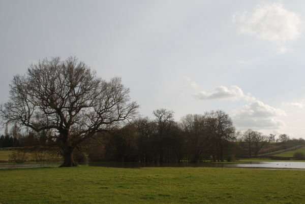 Views across the parklands. Nr. Chiddingstone, Kent