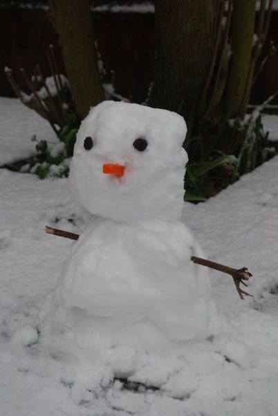Presenting...'Mr Snowy'...Wintry morning  at home, Kent.