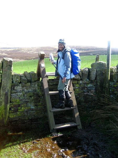 Lav on the Bronte Way. Yorkshire