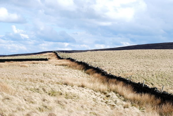 Bronte Country. Pennine Way, Yorkshire