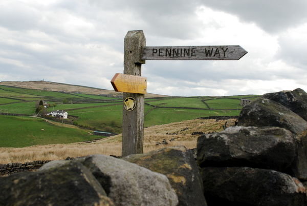 Pennine Way way marker.