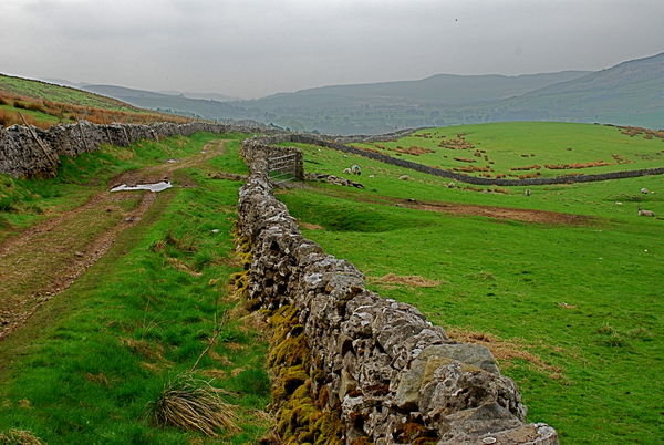 Long ascending track. Pennine Way, Yorkshire