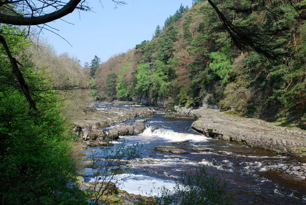 Approaching Low Force waterfall. River Tees. Pennine Way, Yorkshire