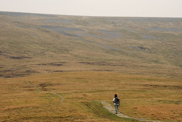 Another big trudge up to Little Dun Fell (2,761ft). Pennine Way, Cumbria
