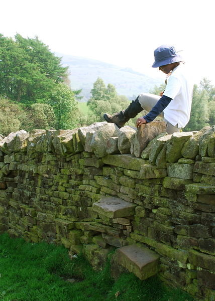 Lav tries to stretch her leg over a high stone stile. Pennine Way, Northumberland