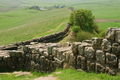 Hadrian's Wall. Pennine Way, Northumberland