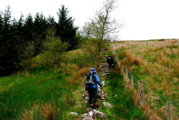 After leaving the endless forests, we had a hard steep boggy track to conquer. Pennine Way, Northumberland