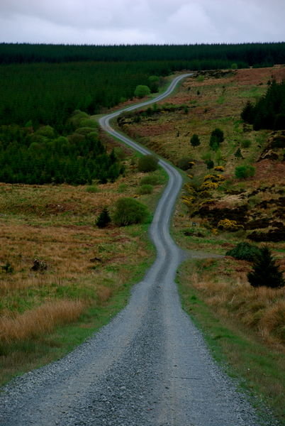 "The road is long, it maybe a winding track....." It most certainly is long and goes on and on... Pennine Way, Northumberland