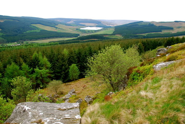 Steep climb worth it for the views across Northumberland National Park. Pennine Way