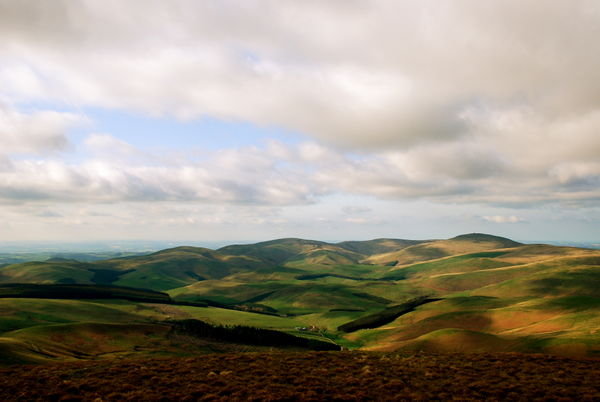 Views towards the beautiful Cheviots. Pennine Way, Northumberland