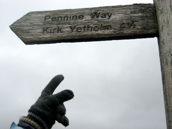 Lav's woolly glove points out that it's just 4 and half miles to Kirk Yetholm. Pennine Way, Northumberland