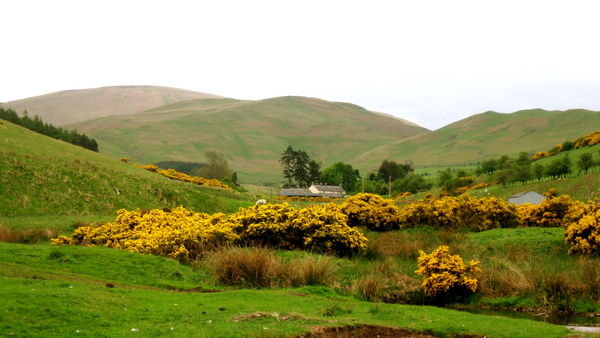 The beautiful Tweed Valley. Pennine Way, Scotland 