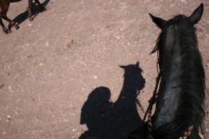 Schattengestalten: Mein Pferd und ich.