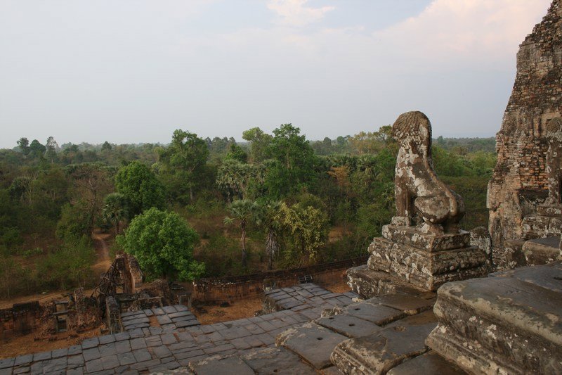 Aussicht vom Tempel in den Dschungel