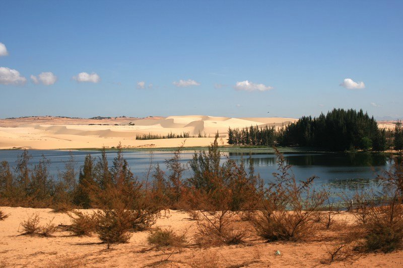 Der Lotussee vor der weißen Sanddüne
