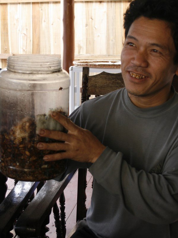 Honig-Bienen-Reisschnaps-Einmachglas