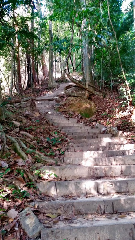 Die ersten steilen Stufen zum Penang Hill...