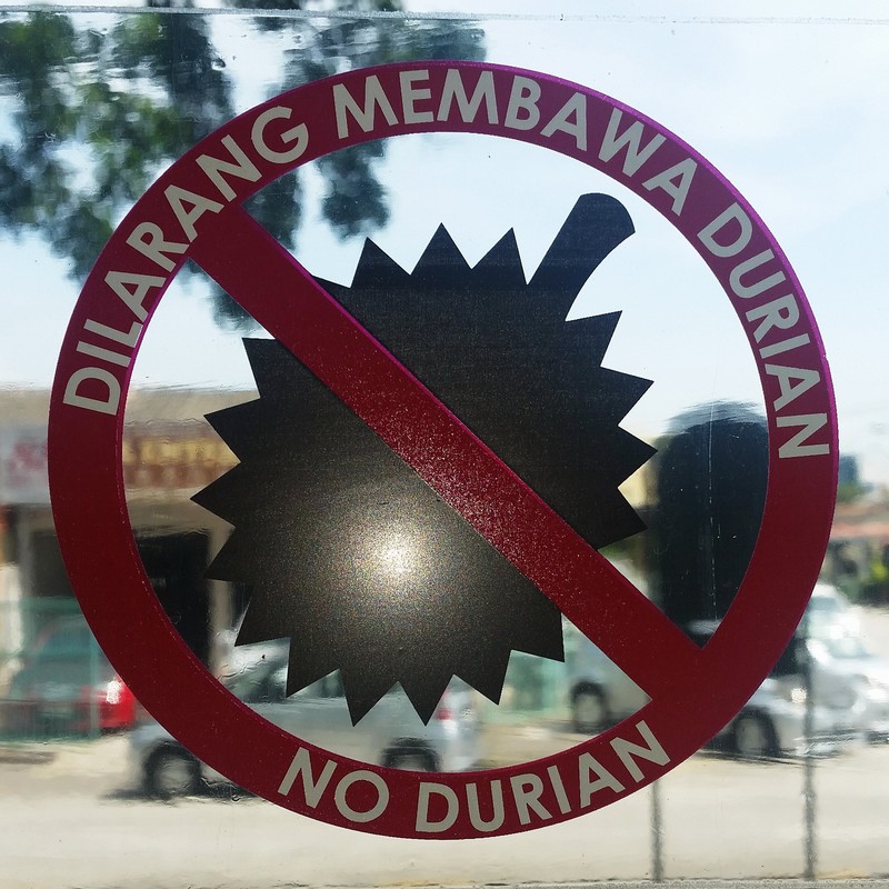 Durian - schmeckt himmlich - riecht höllisch - deshalb Mitnahme im Bus verboten