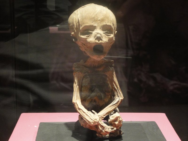 mummy museum guanjuato (83)