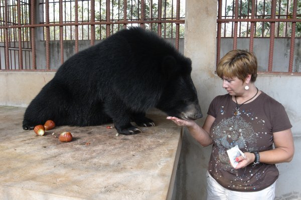 Feeding Bam Bam