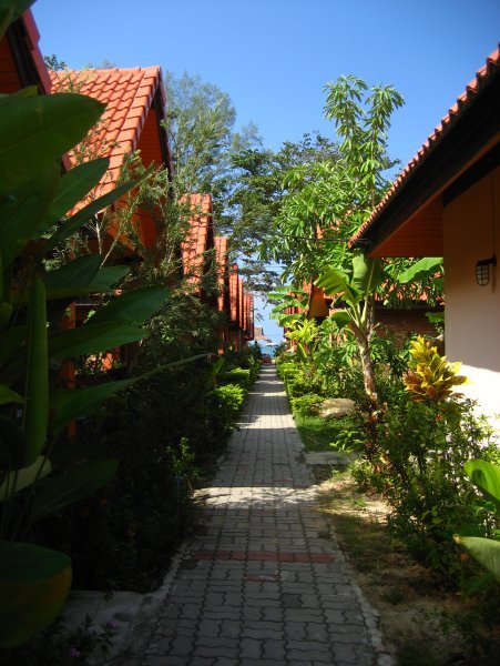 The path to our Bungalow, Gerd-Noi