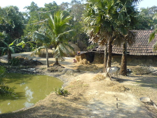 The village we stayed at