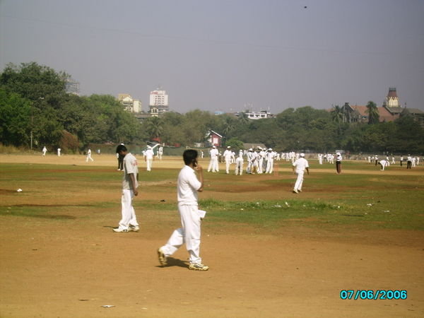 Cricket in the park