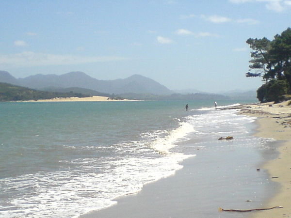 Opononi beach