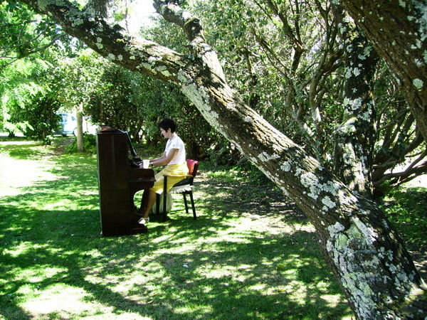 Open air piano recital