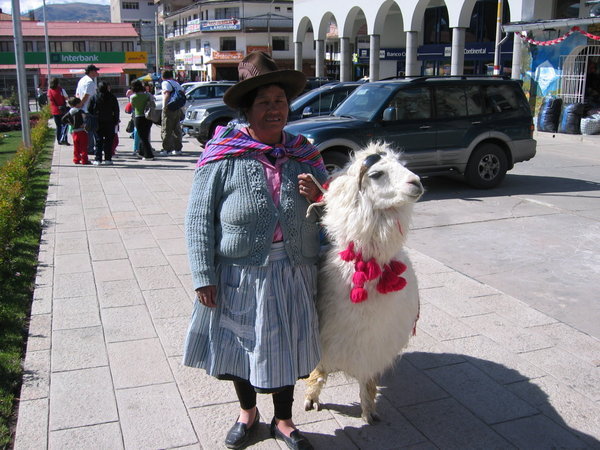 Woman with alpaca