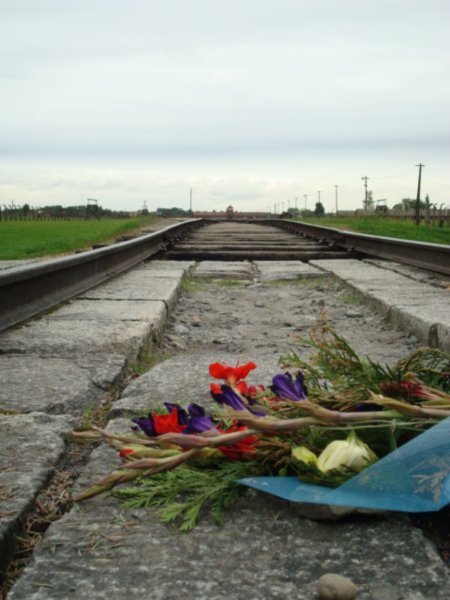 Flowers on the tracks